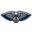 New Orleans Pelicans